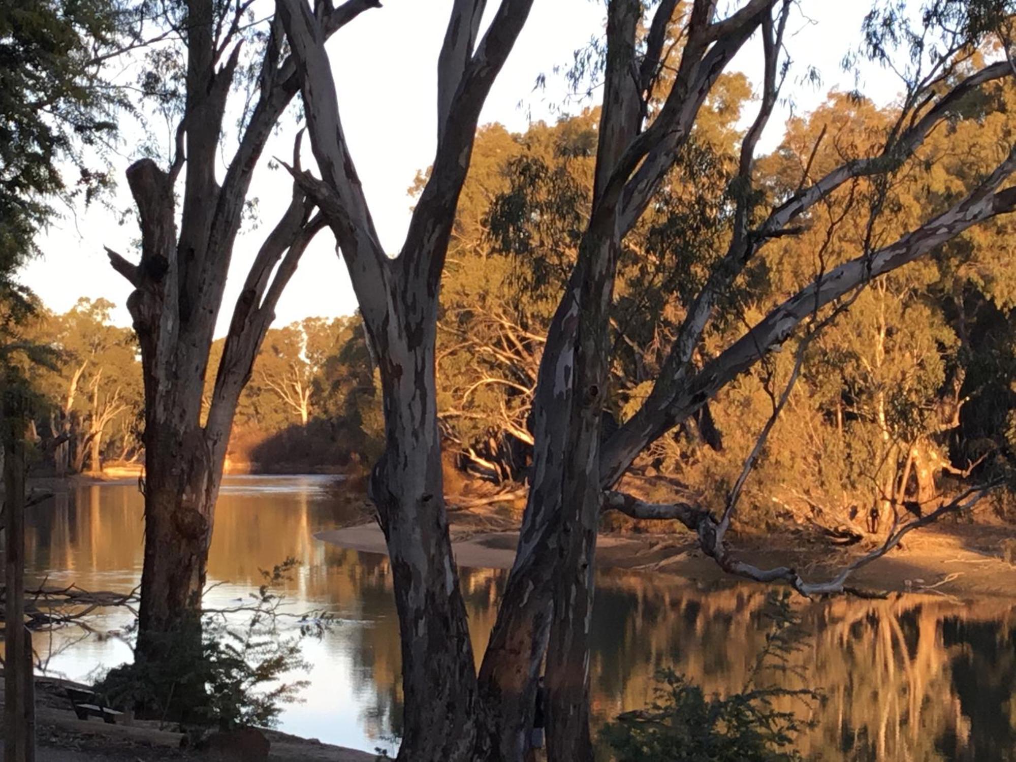 Deniliquin Riverside Caravan Park Bagian luar foto