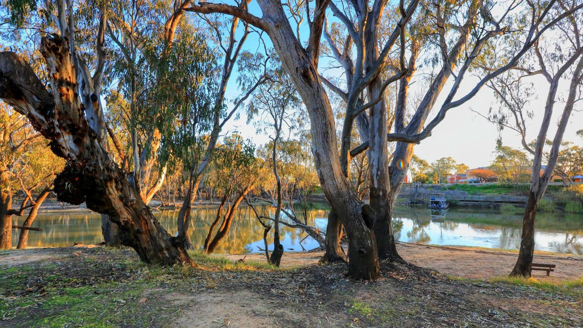 Deniliquin Riverside Caravan Park Bagian luar foto